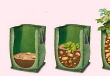 Выращивание картофеля в ящиках: особенности процесса